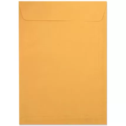 Envelope Saco Kraft Ouro 75g 229x324 kr-32 6831 Romitec