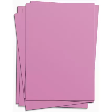 Cartolina 150g 50x66 Rosa Card Set Spiral