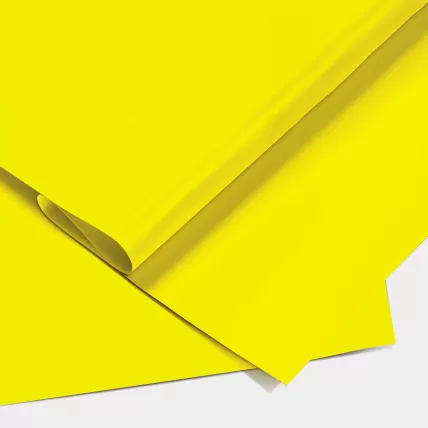 Papel Color Set Amarelo Canário 48x66 050002 Ridet