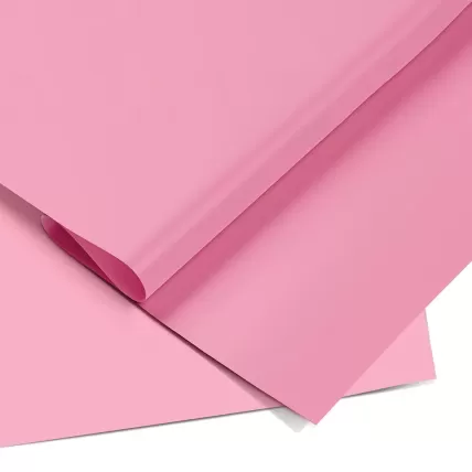 Papel Color Set Rosa Claro 48x66 050004 Ridet