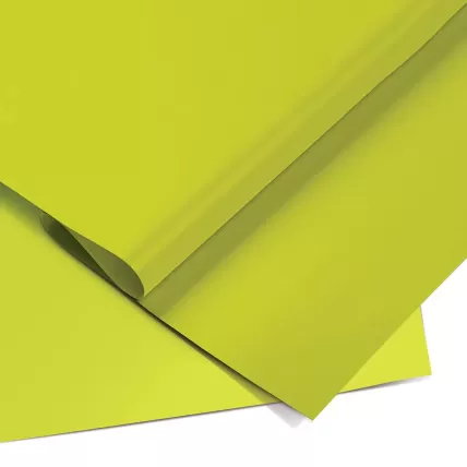 Papel Color Set Verde Claro 48x66 050010 Ridet