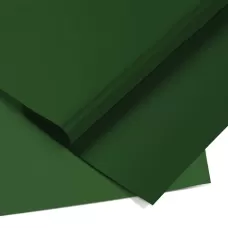 Papel Color Set Verde Escuro 48x66 050012 Ridet