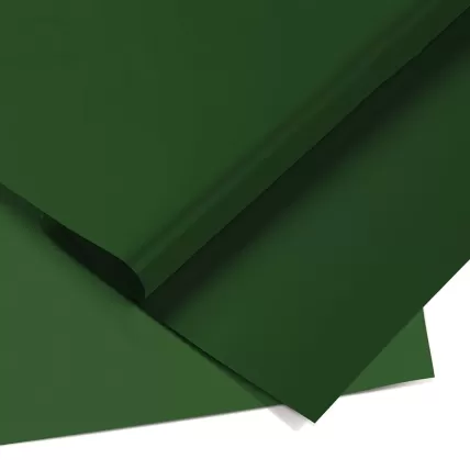 Papel Color Set Verde Escuro 48x66 050012 Ridet